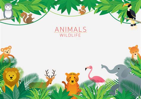 Zoo Background Illustrations Royalty Free Vector Graphics And Clip Art