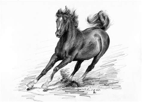 Rysunek techniczny jest specjalnym rodzajem rysunku wykonywanego według ustalonych zasad i przepisów. Koń w galopie - Magdalena Muraszko-Kowalska - rysunki