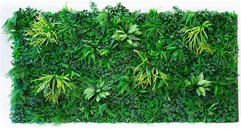 Artificial Vertical Garden Green Wall Von Evergreen Trees And Shrubs