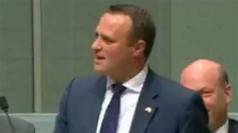 Liberal Mp Proposes To His Partner During Same Sex Marriage Speech In