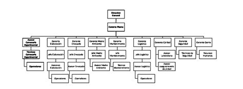 Introducir Imagen Estructura Organizacional De Cerveceria Modelo Abzlocal Mx
