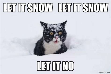 Let It Snow Let It Snow Let It No Cat Meme From Let It Snow Memes