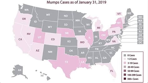 A Closer Look At Mumps Outbreaks In The United States