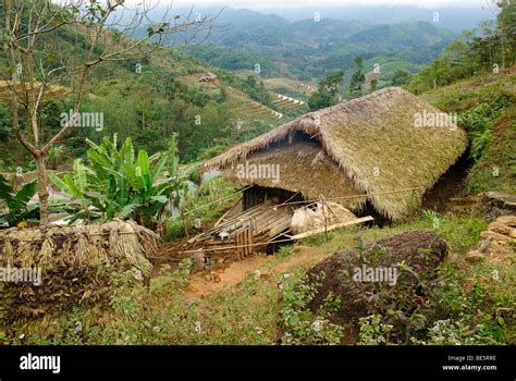 Traditional Farmhouse Of A Mountain Tribe Ha Giang Province Northern