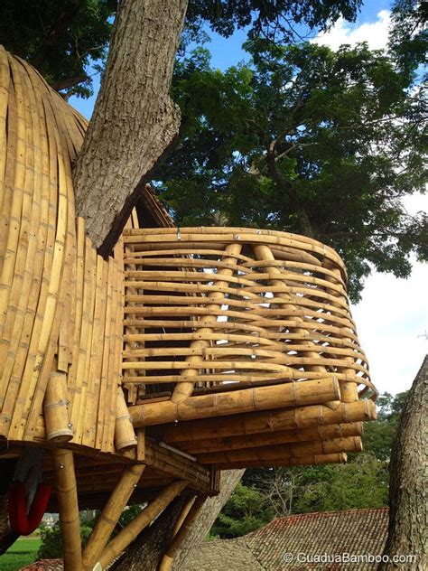 Bamboo Treehouse In Colombia — Guadua Bamboo Tree House Bamboo