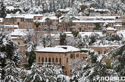 20 Spectacular Sights From The Israeli Winter And Spring Noam Chen