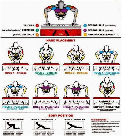 The Fitness Hub Types Of Push Ups And Its Effects