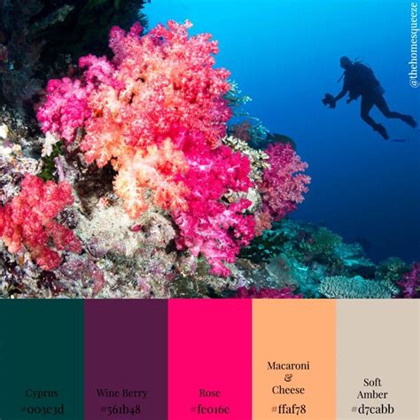 Pretty Coral Coral Color Schemes Paint Color Combos Colour Pallette