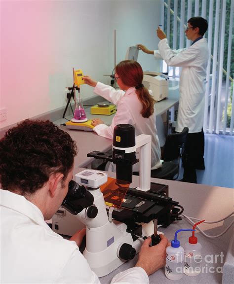 Laboratory Work Photograph By John Mclean Science Photo Library Fine