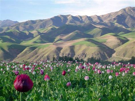 Afghanistan Scenery Photos