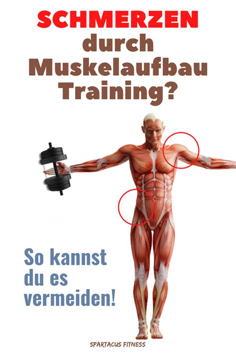 schmerzen durch krafttraining deshalb training muskelaufbau muskeln krafttraining