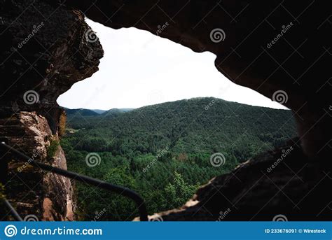 Scenic View Of A Lush Forest Landscape From A Cave Stock Image Image