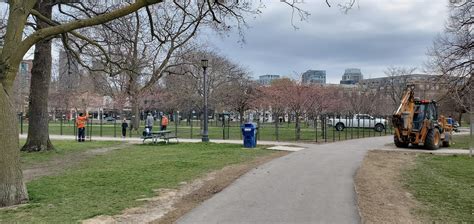Trinity bellwoods park is a public park located in toronto, ontario, canada, bordered by queen street west on the south and dundas street on the north. Fences are put up around the Cherry Blossoms at Trinity ...