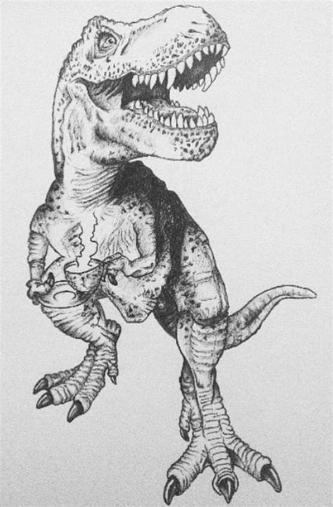 Image Result For T Rex Illustration Pinterest Dinosaur Drawing