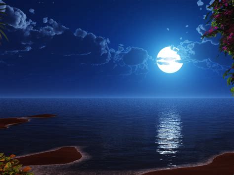 Wallpaper Tropical Beach Coast Full Moon Night Sky Scenery