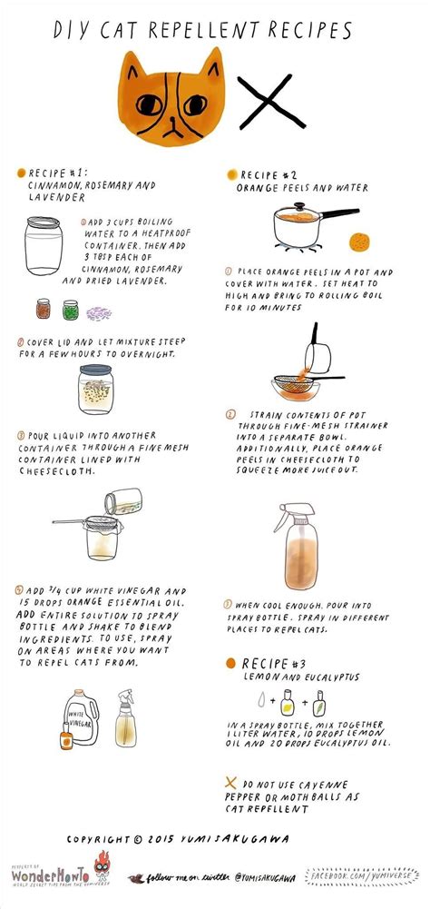 Citrus sprayer spray citrus spray plastic stem citrus juice lemon sprayer lemon squeezer spray. DIY Cat Repellent Spray: 3 All-Natural Recipes That Are ...