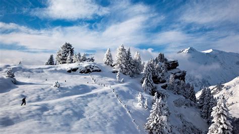 Schneehöhen in den alpen, usa und skandinavien. Der 15 Tage Winter-Check: Der Winter legt nach - wetter.de