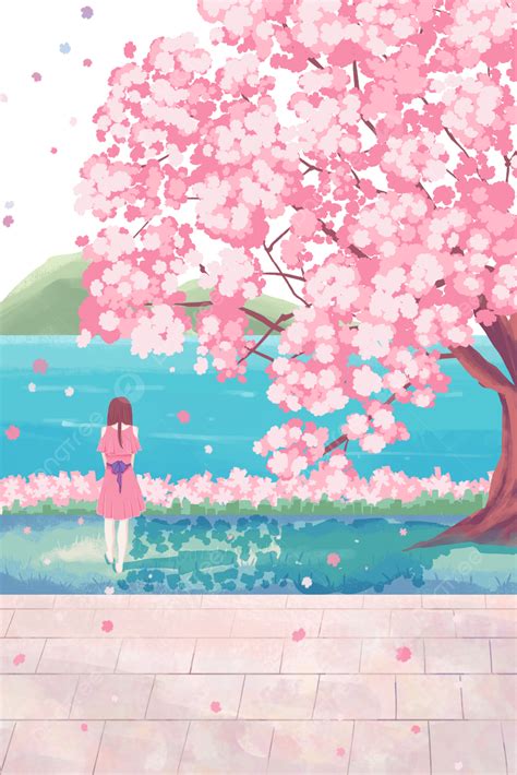cherry blossom spring cherry blossom festival cherry blossom viewing cherry blossoms sakura