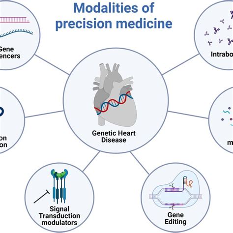 Modalities Of Precision Medicine Six Modalities In Precision Medicine