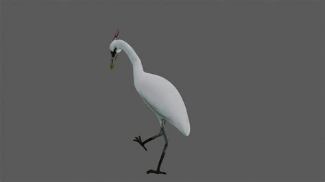 Crane Bird 3d Model Rigged And Low Poly Team 3d Yard