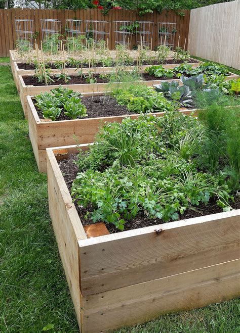 Luxury Garden Ideas Diy Vegetable Garden Planter Boxes Backyard
