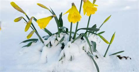 Easter Weather 2018 Uk Warned Of Snow On Easter Bank Holiday Weekend