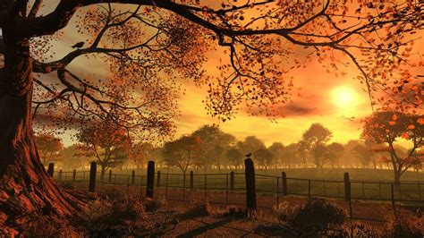 Autumn Sunset Wallpapers Top Free Autumn Sunset Backgrounds