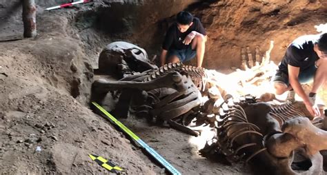 A Unique Discovery Of Giant Skeleton In Thailand Giant Possibly Killed