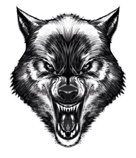 Wolf Tattoo Wolf Tattoos Wolf Tattoo Werewolf Tattoo