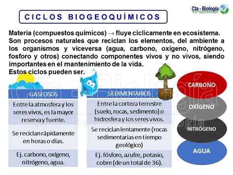 Biología Didáctica Tema Ciclos Biogeoquímicos