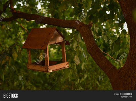 Birdhouse On Tree Image And Photo Free Trial Bigstock