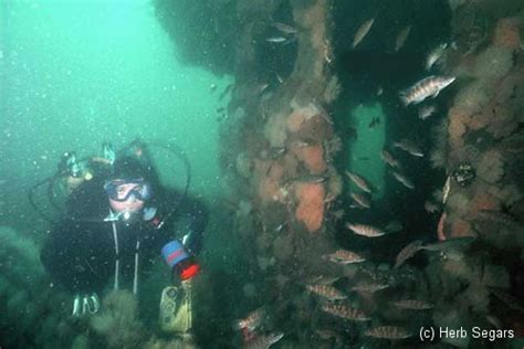 Dive Training Getting Started ~ New Jersey Scuba Diving