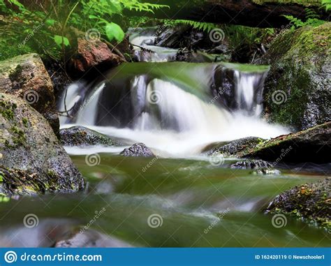 Forest River Stream Water Slowly Flow. Mossy River Stream Rocks. Mossy Forest River Stream View 