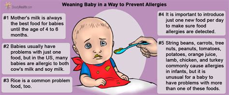 What does a food allergy look like in an infant? When Baby Can't Drink Milk, Grains May Not Be The Answer ...