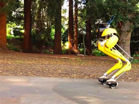 Cassie Cal Robot Can Probably Ride Hovershoes Better Than You — Cnet