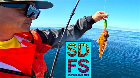 Vertical Jigging And Tackle Techniques For Fishing La Jolla Freedom Boat