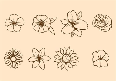 Free Lily Flower Svg Files