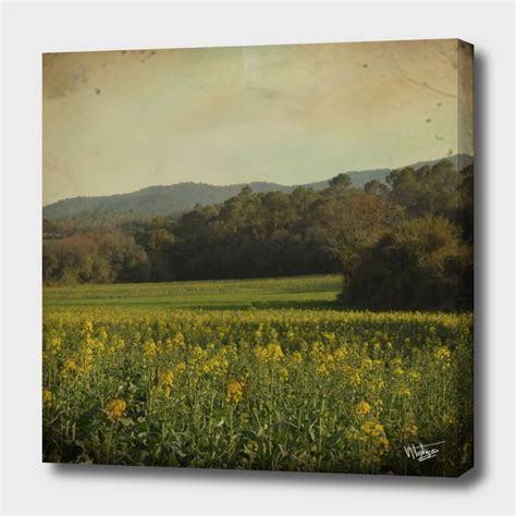 Once Upon A Time A Field Of Flowers Canvas Print By Victoria Herrera