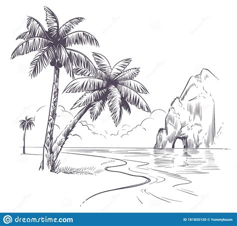 Palm Tree Landscape Sketch Tropical Palms Ocean Coast Exotic Island
