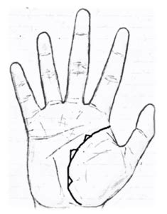 It is still practiced those are heart line, head line, sun line (apollo line), life line and fate line. MONEY LINES /WEALTH LINES||MONEY LINE PALM READING (PALMISTRY)