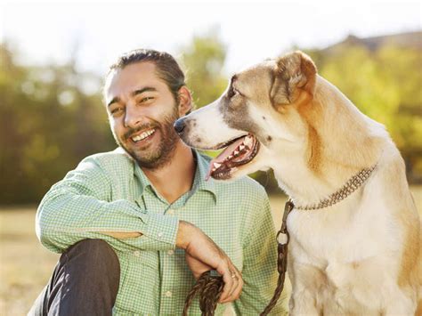 DÍa De La Felicidad Según Este Estudio Tu Perro Mejora Tu Salud Y Te