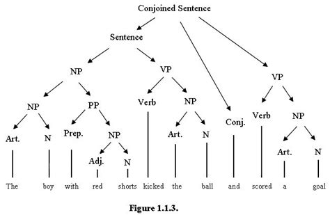 Linguistics Syntax Linguistics Study Syntax Linguistics