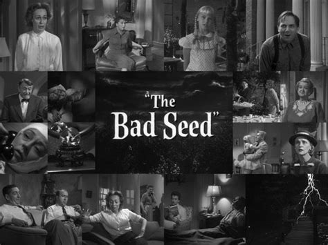 Film Review The Bad Seed 1956 The Bad Seed Old Movies Film Review