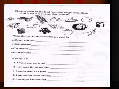 3rd Grade Math Printable Worksheets Page 2 99worksheets
