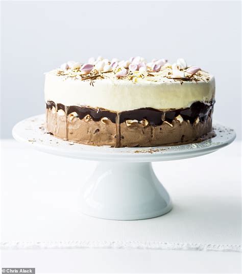 The Big Scoop Cheats Chocolate Vanilla Ice Cream Cake Daily Mail Online