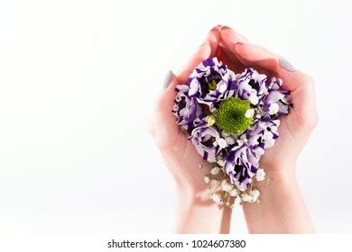 Hands Holding Tender Bouquet Purple Eustoma Stock Photo