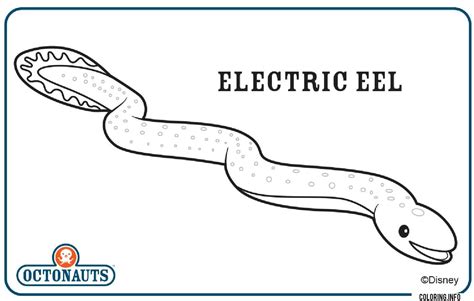 Electric Eel Coloring Page Printable