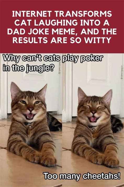 Internet Transforms Cat Laughing Into A Dad Joke Meme And The Results