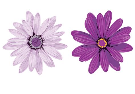 Purple Flower Vectors Download Free Vector Art Stock Graphics And Images