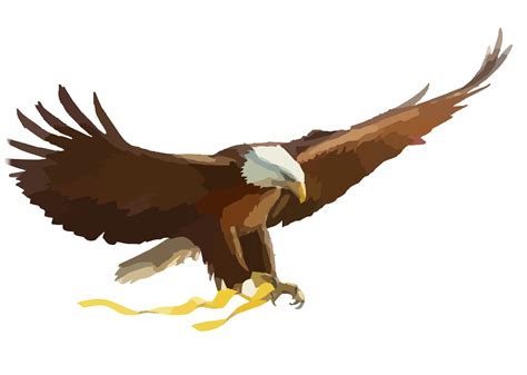 Bald Eagle Clipart Clipart Best